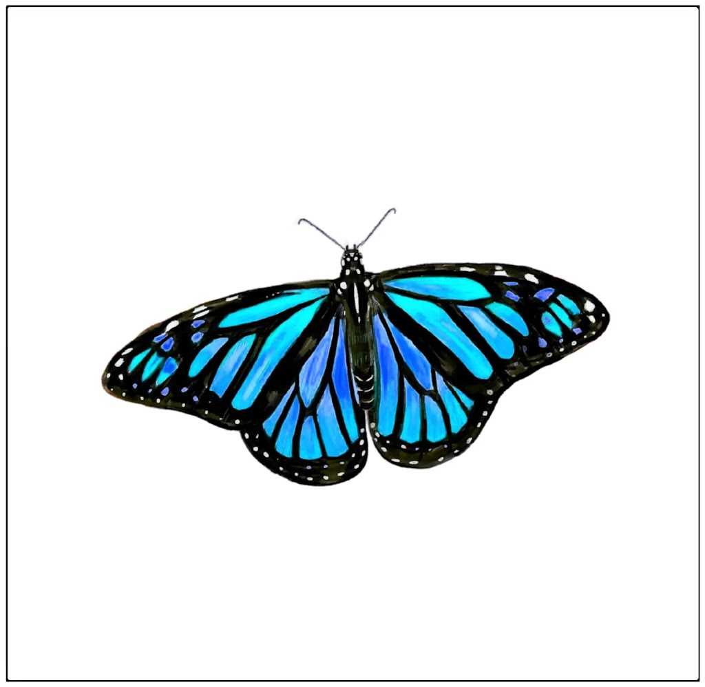 250+ Butterfly Drawing Simple & Easy Images HD Download