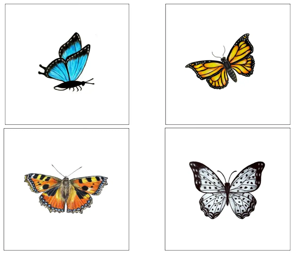 250 Butterfly Drawing Simple Easy Images Hd Download