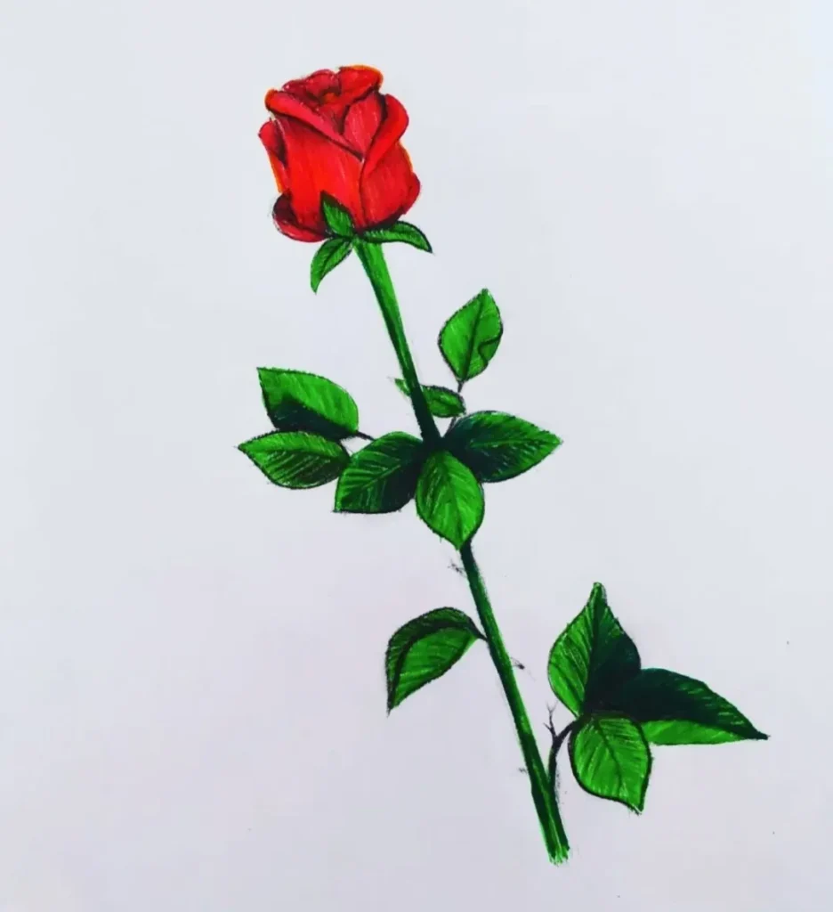 10+ Beautiful Flower Drawings for Inspiration 2023-saigonsouth.com.vn